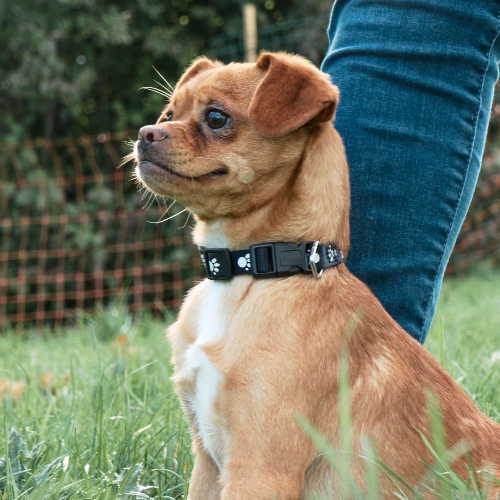 10 - _1210737_website