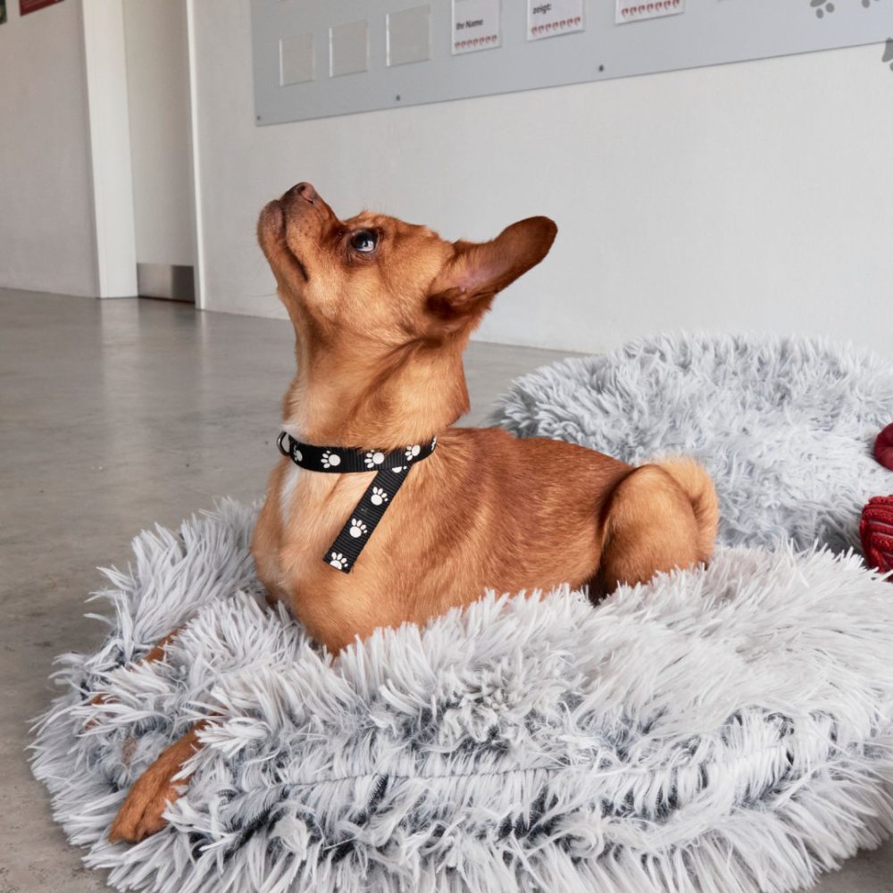 12 - _1210777_website