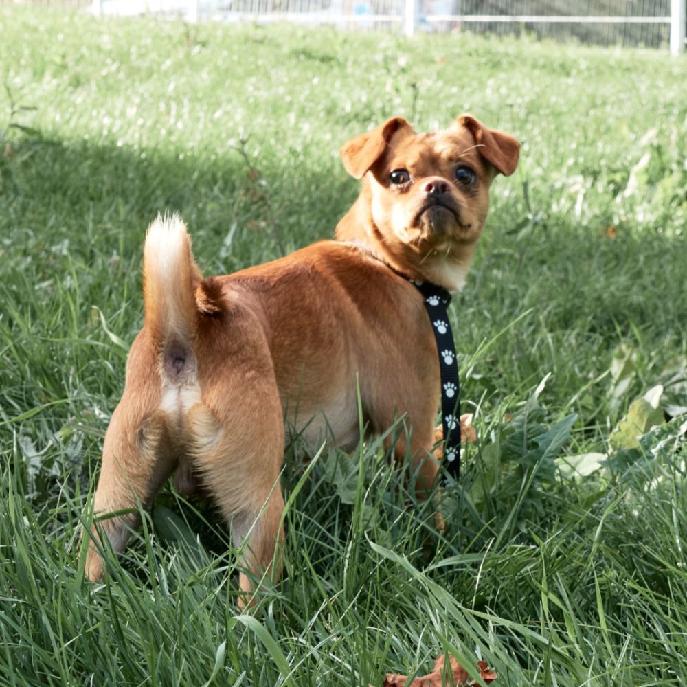 5 - _1210641_website