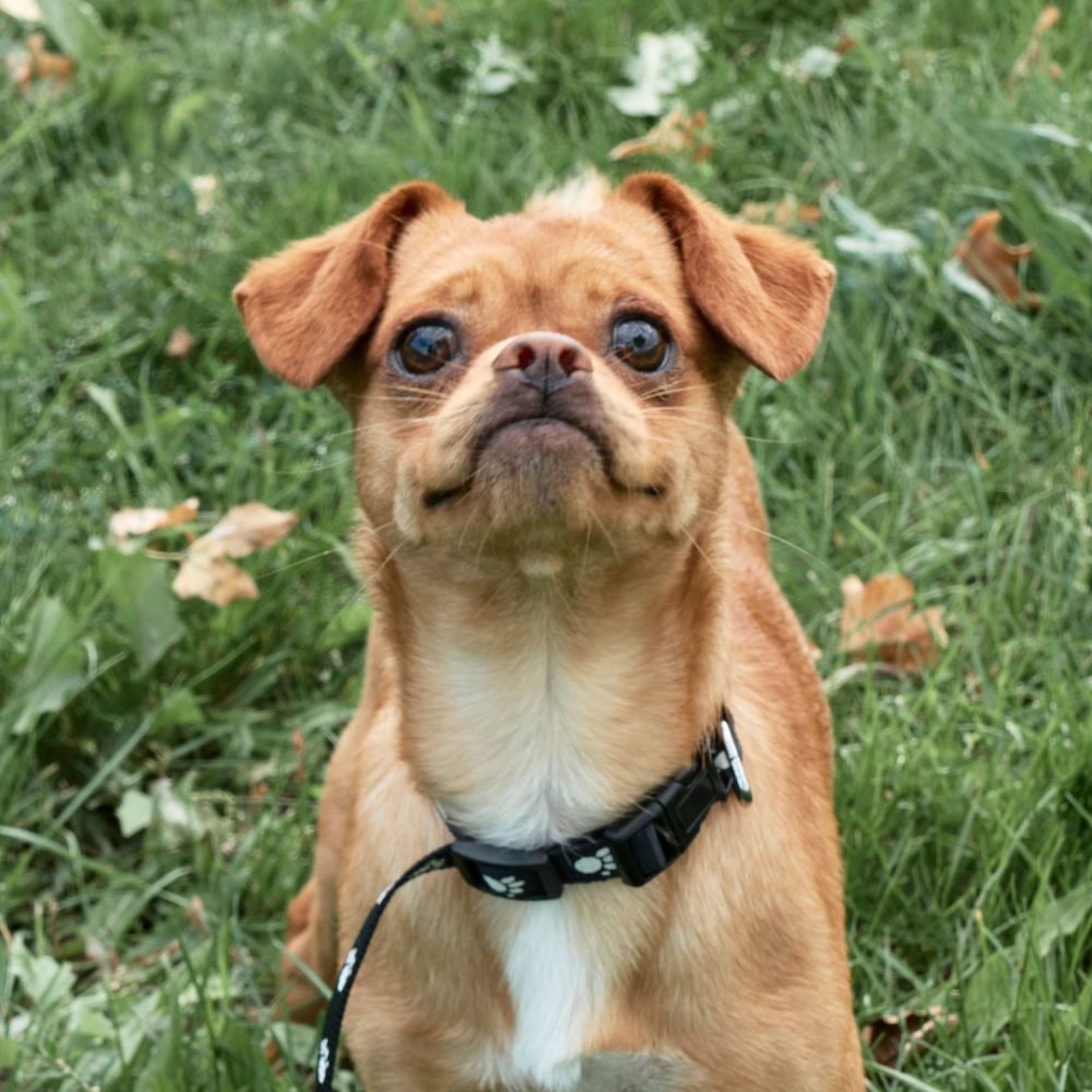 6 - _1210649_website