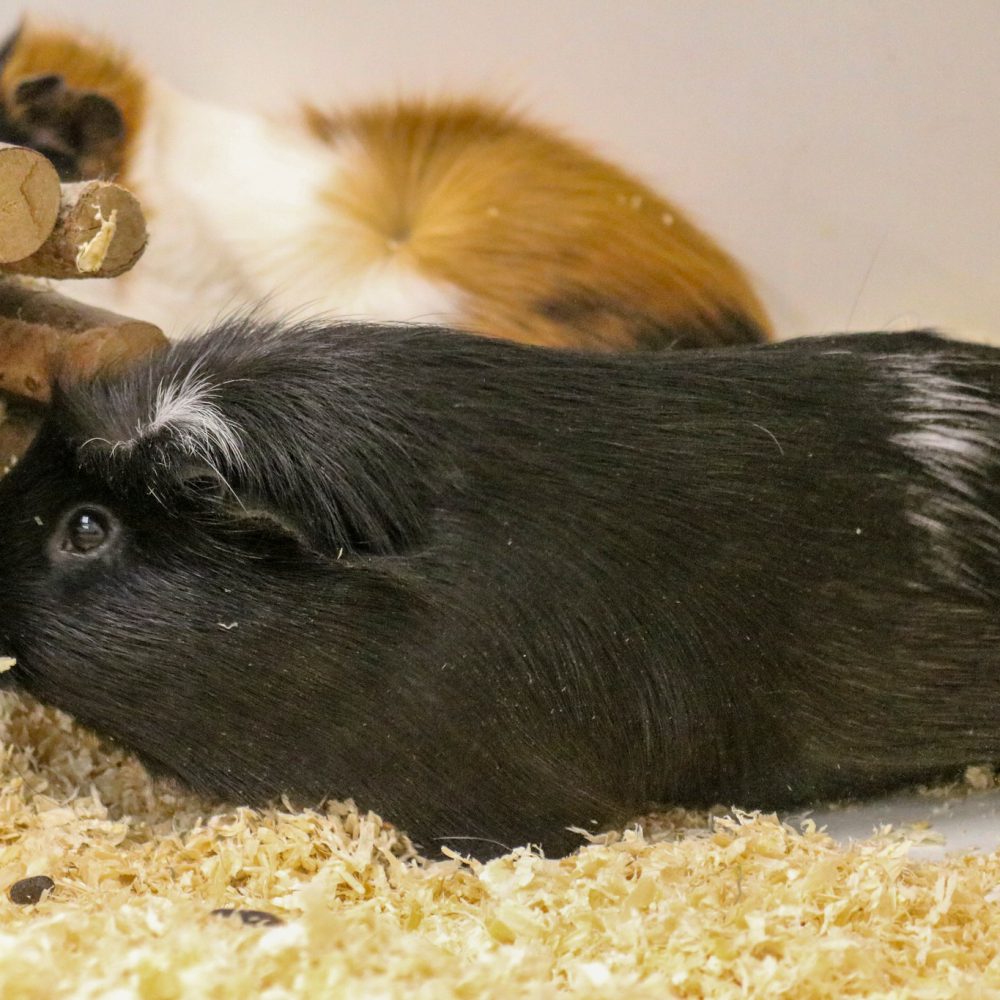 627754324_1219285717065227_8671561514556481510_n