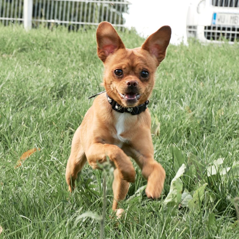 7 - _1210693_website