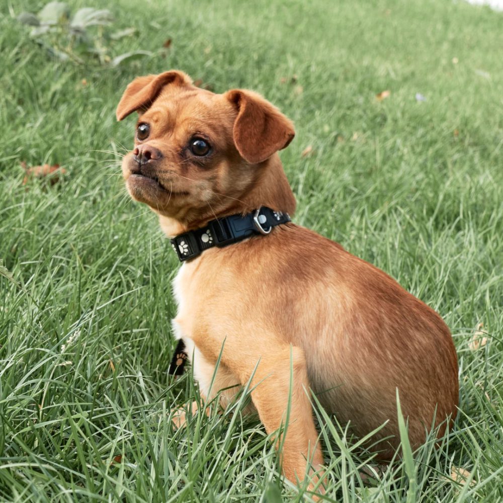 8 - _1210696_website