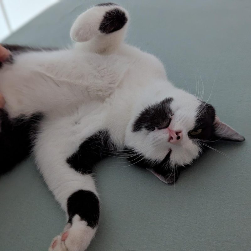 Benny5