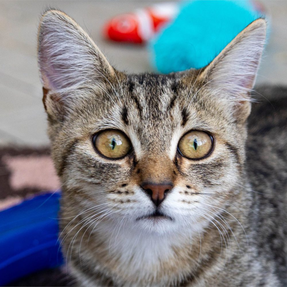 Portraitfoto von Gina