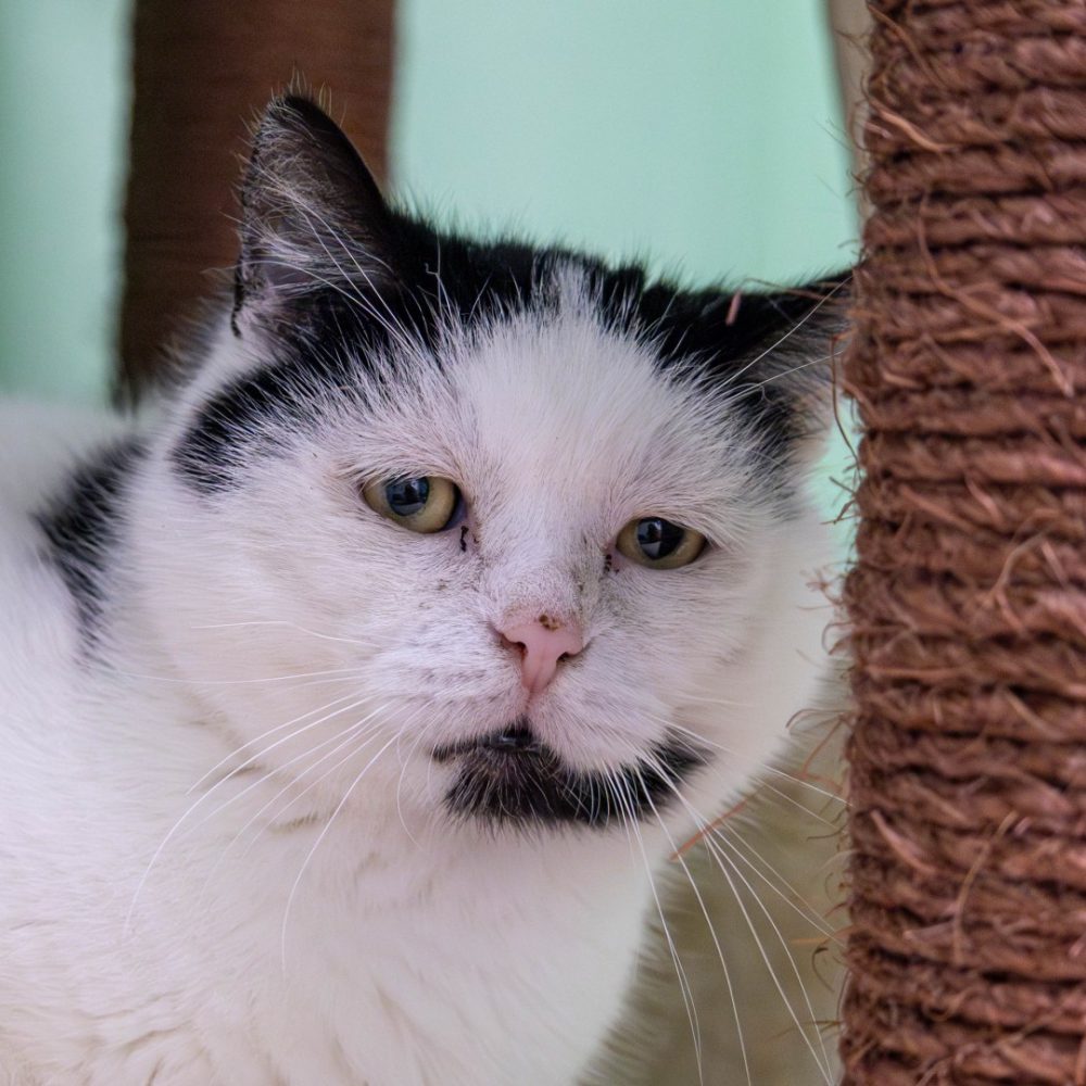 Günni neu 1_website