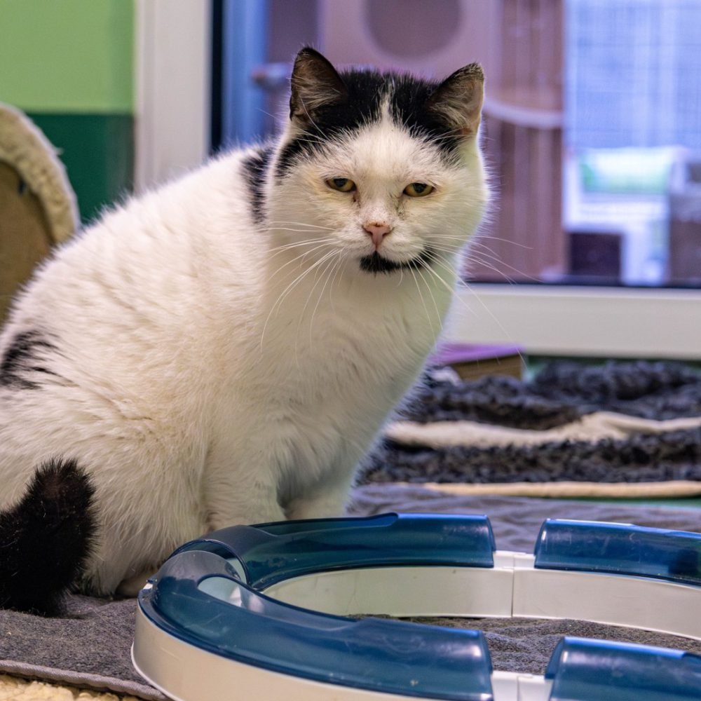 Günni neu 2_website