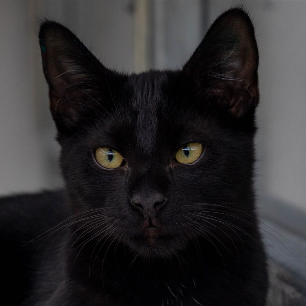 Portraitfoto von Maik