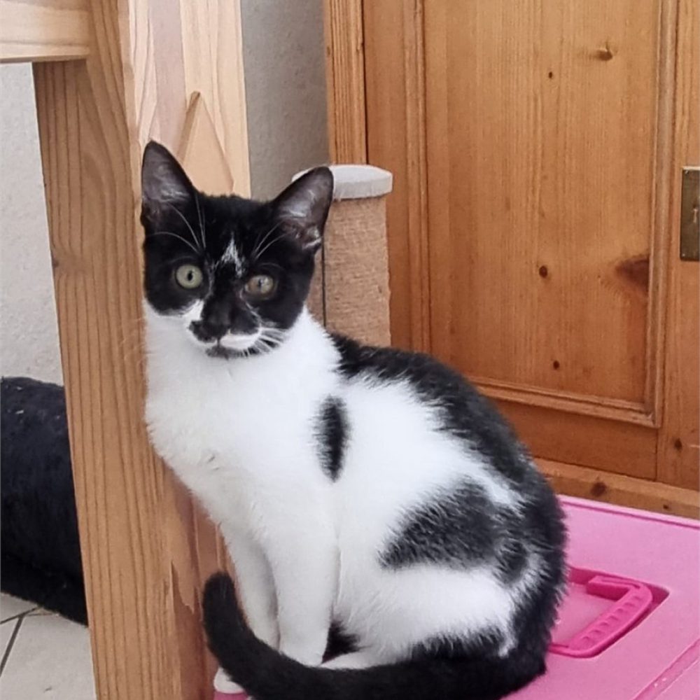 Portraitfoto von Mona