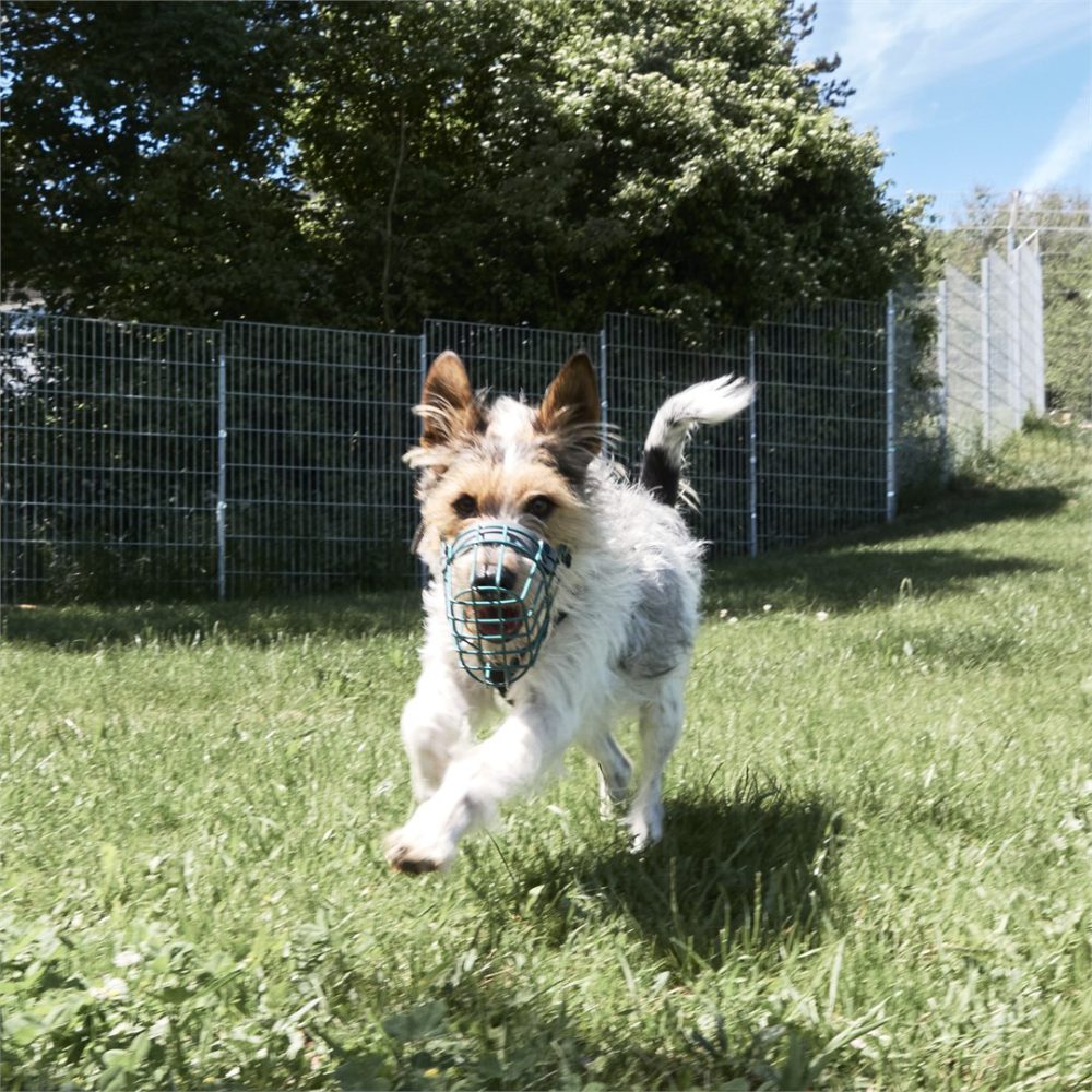 Oskar