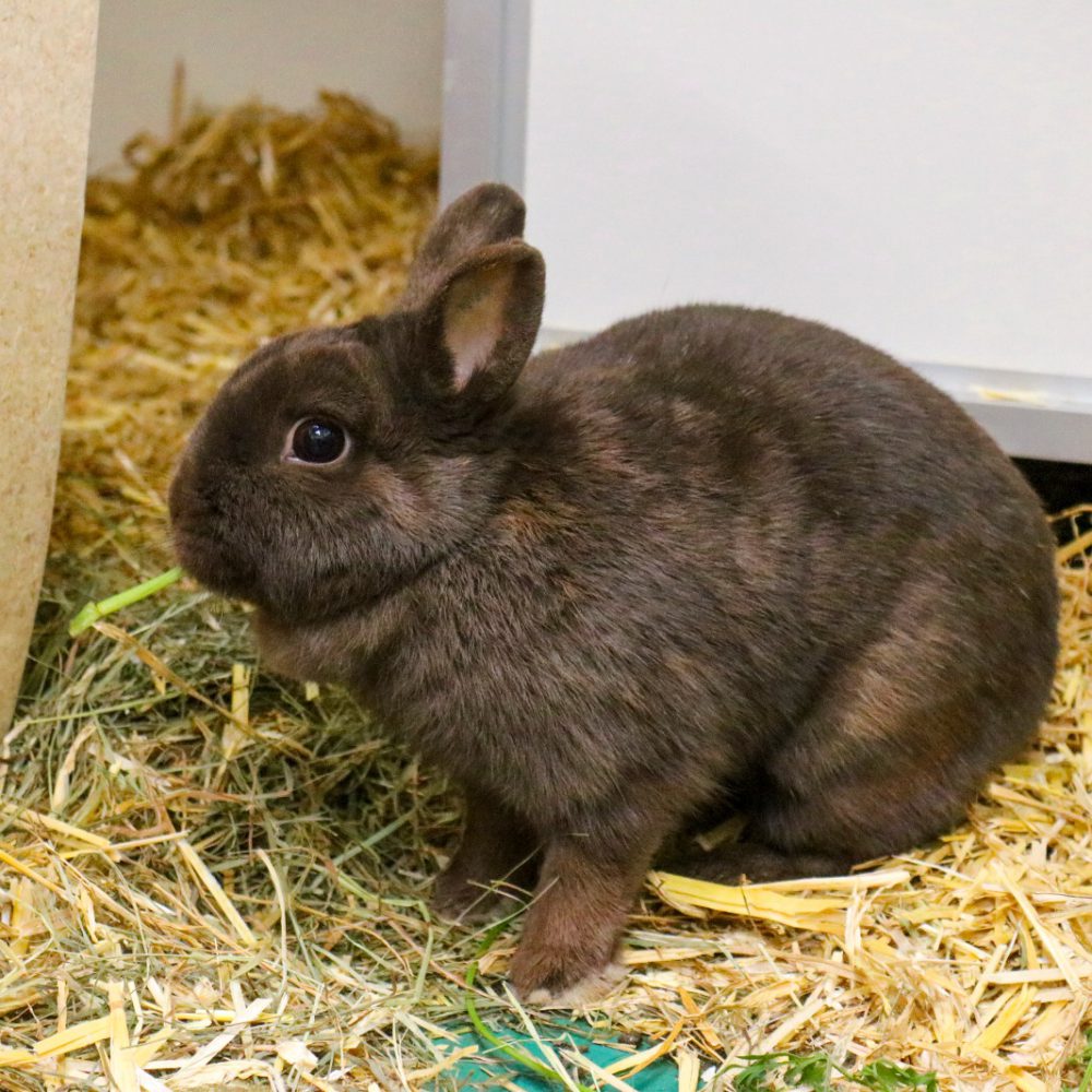 PHOTO-2026-03-01-17-00-58