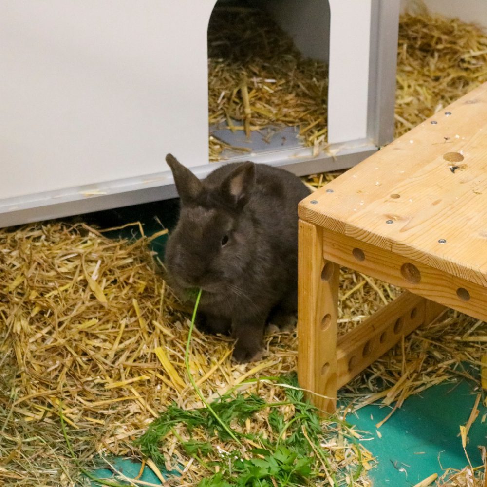 PHOTO-2026-03-01-17-00-58