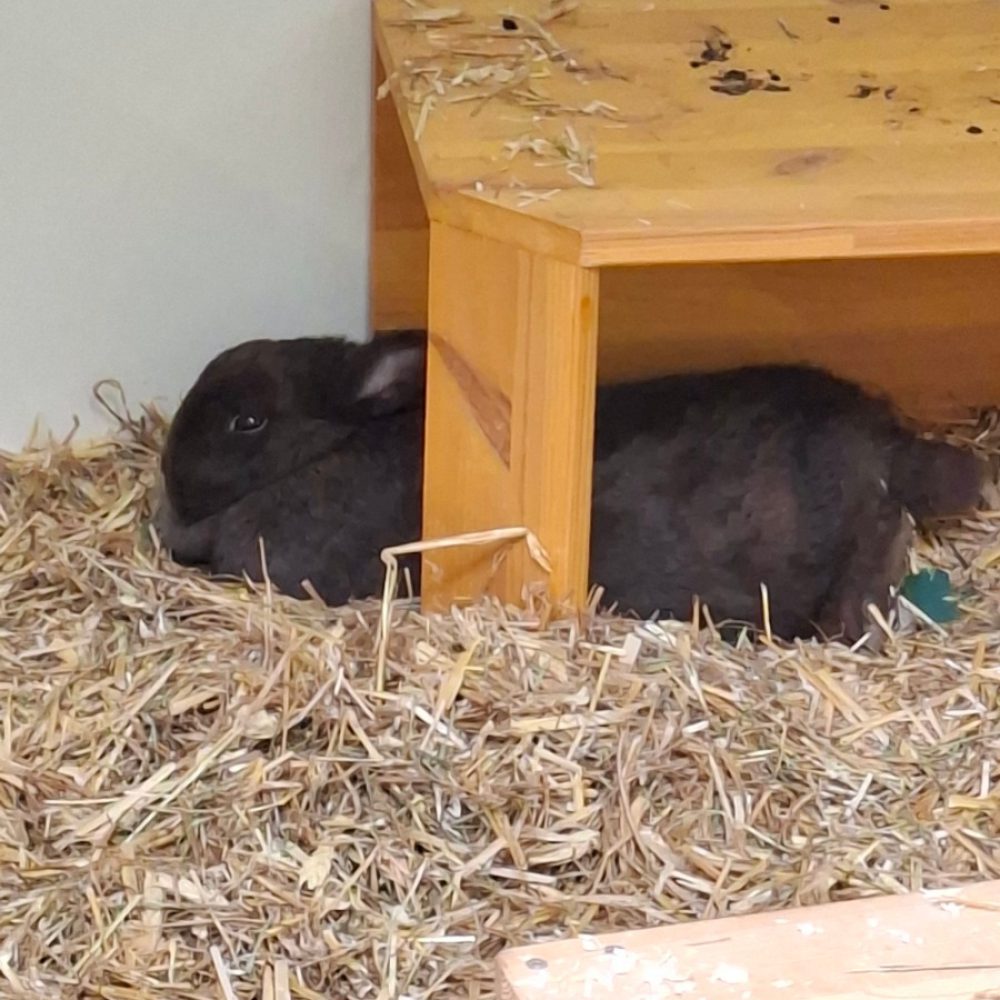 PHOTO-2026-03-01-17-01-28