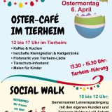 Social Walk