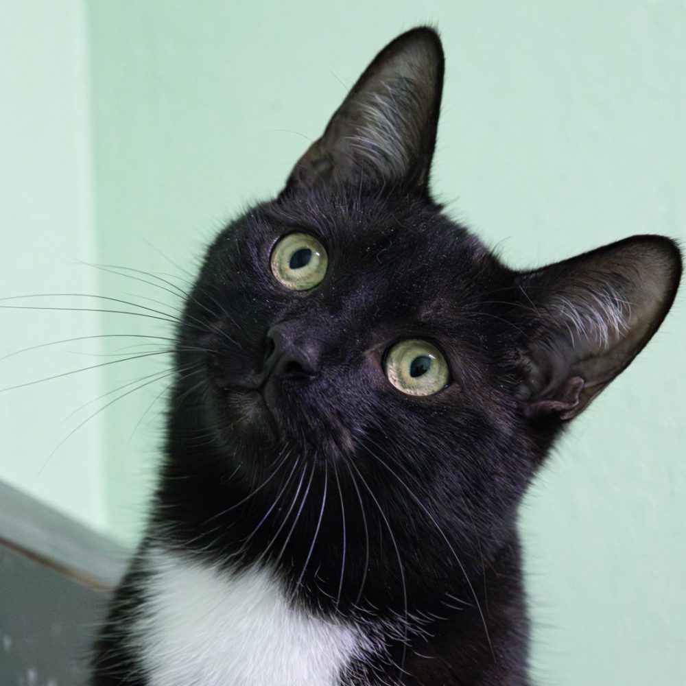 Steffen neu 1_website