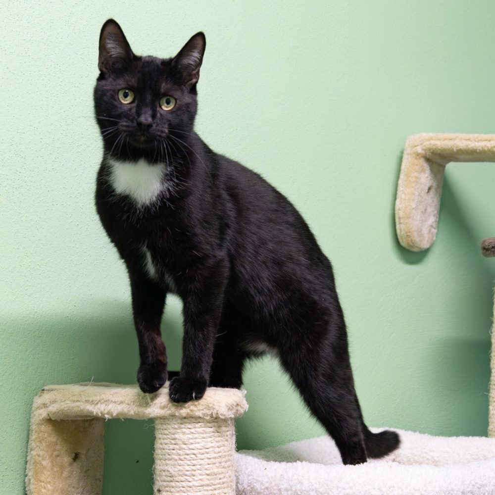 Steffen neu 2_website