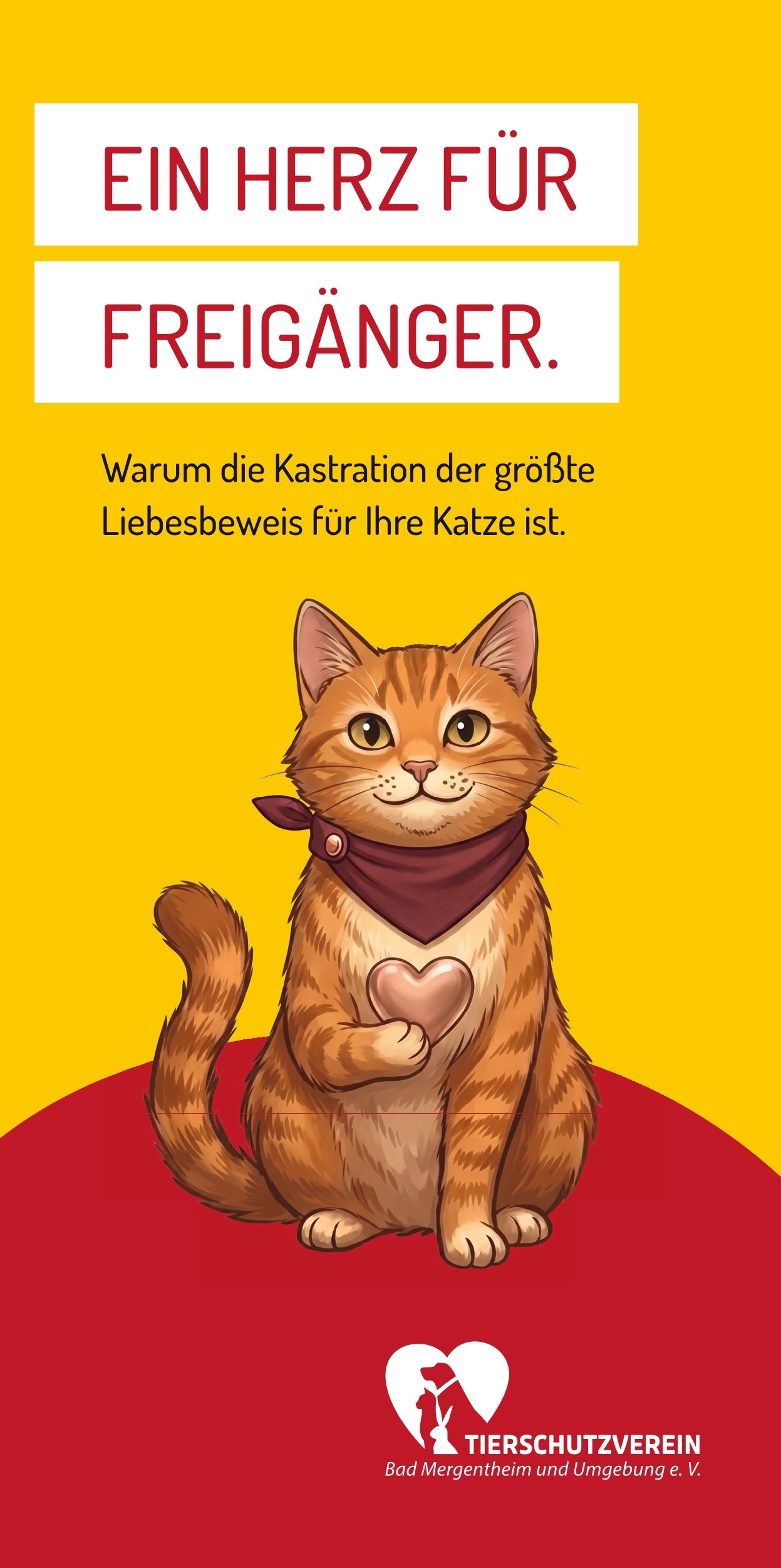 Katzenschutz Flyer