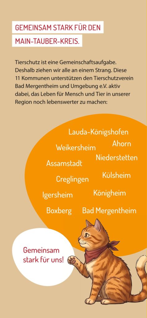 Katzenschutz Flyer