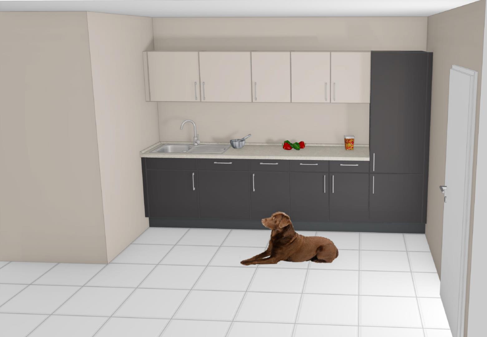Mehr über den Artikel erfahren Futterküche Quarantäne Hunde