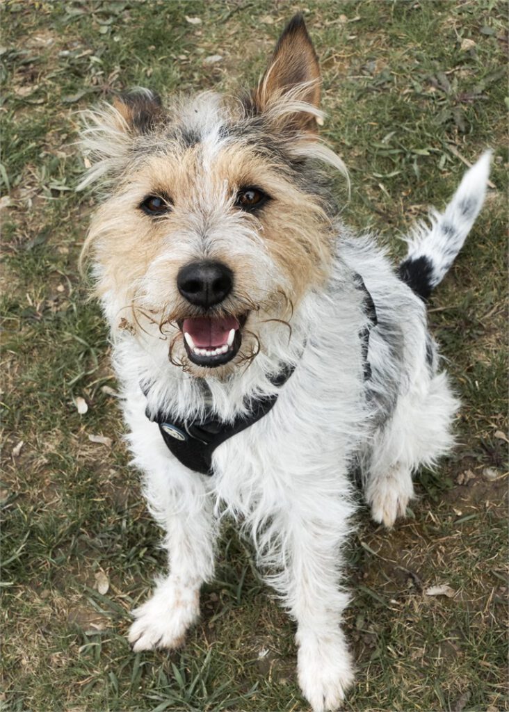 Oskar
