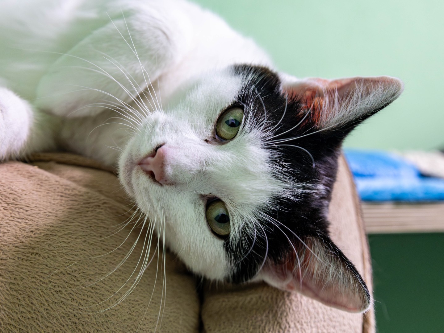 Mehr über den Artikel erfahren André