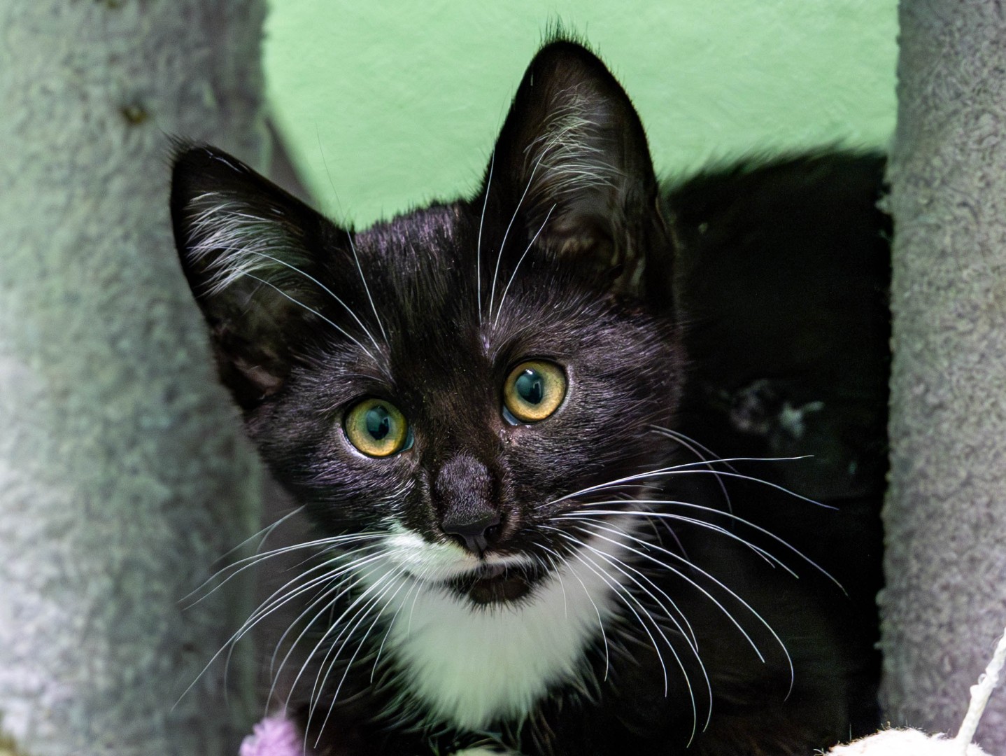 Mehr über den Artikel erfahren Maya