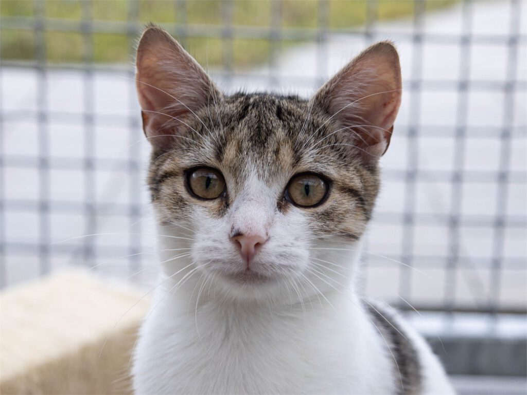 Portraitfoto von Billy