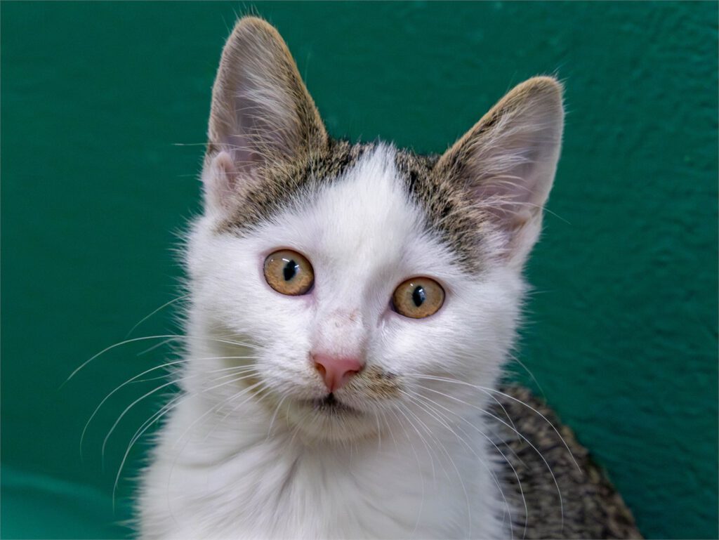 Portraitfoto von Fleur
