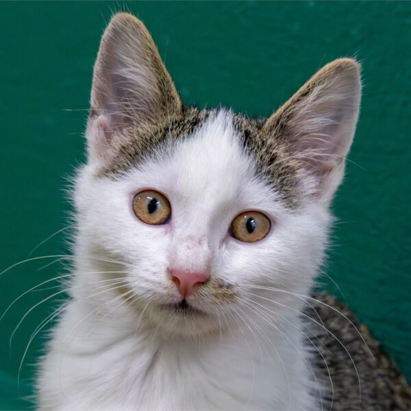 Portraitfoto von Fleur