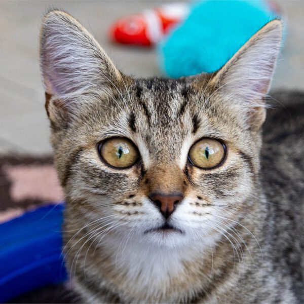 Portraitfoto von Gina