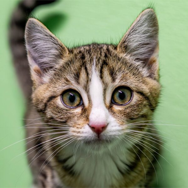Portraitfoto von Hanni