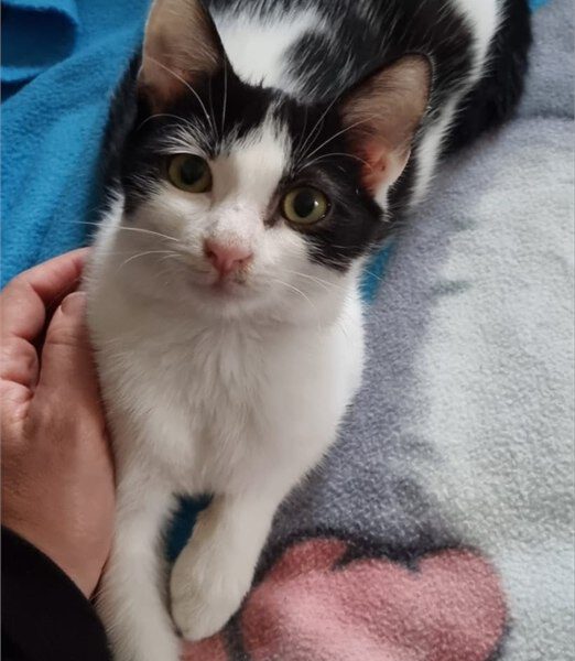Portraitfoto von Heidi