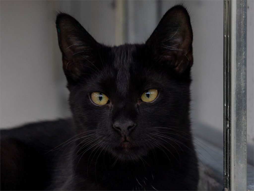 Portraitfoto von Maik