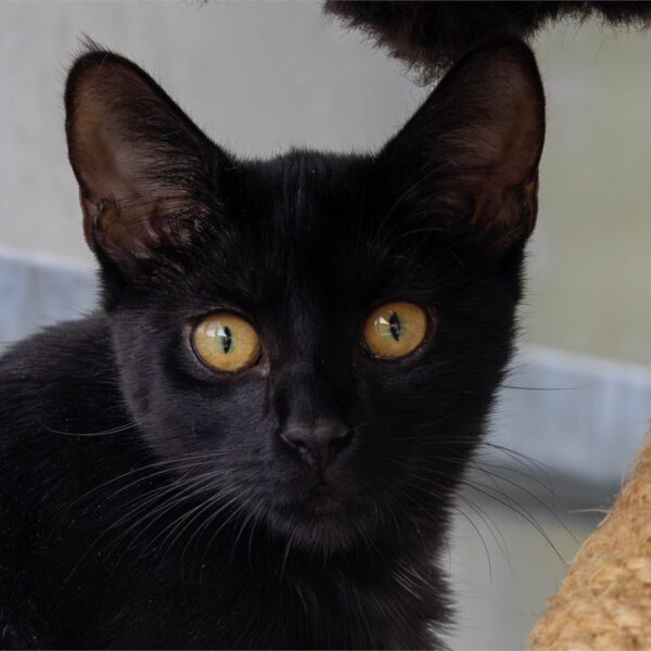 Portraitfoto von Manja