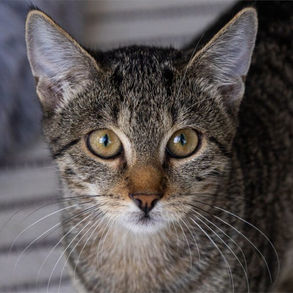 Portraitfoto von Marla