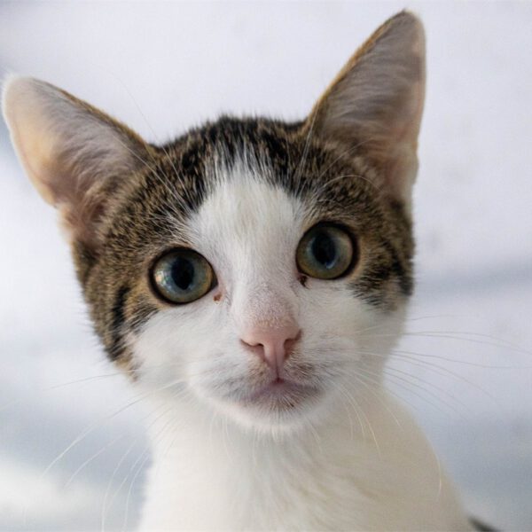 Portraitfoto von Michi