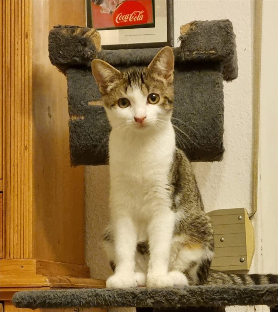 Portraitfoto von Paula