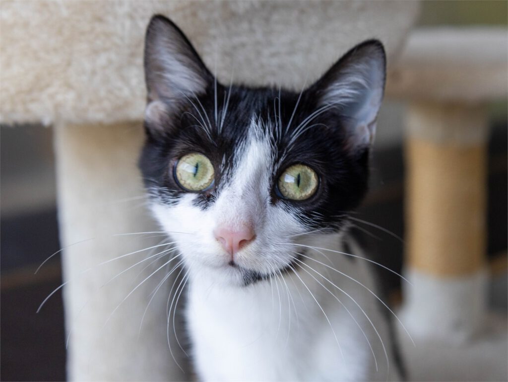 Portraitfoto von Sally
