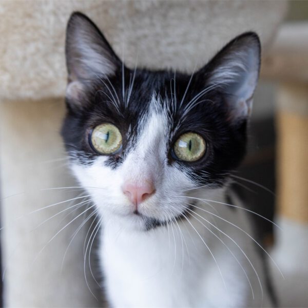 Portraitfoto von Sally