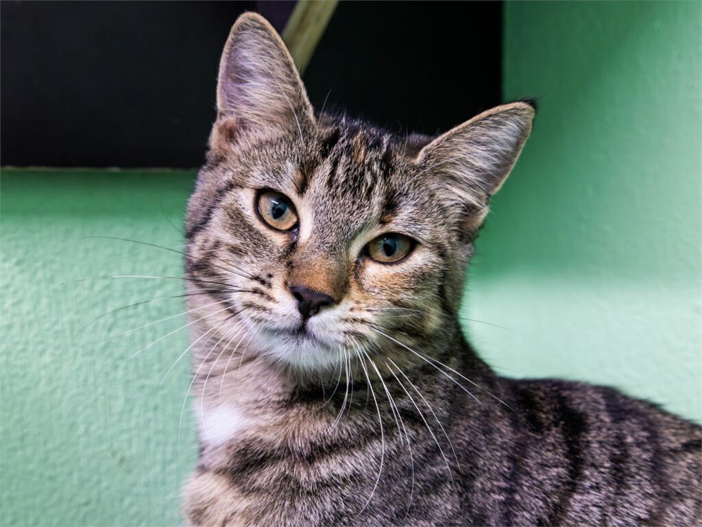 Portraitfoto von Tiffy