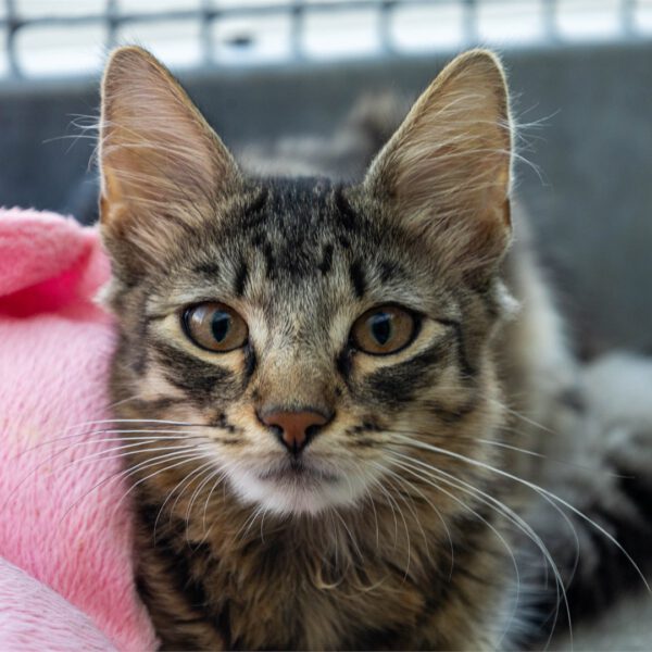 Portraitfoto von Timothy